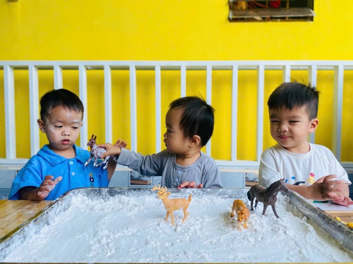 Ảnh hoạt động