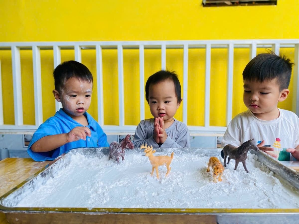 Ảnh hoạt động