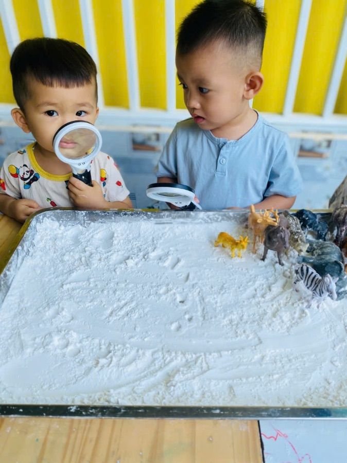 Ảnh hoạt động