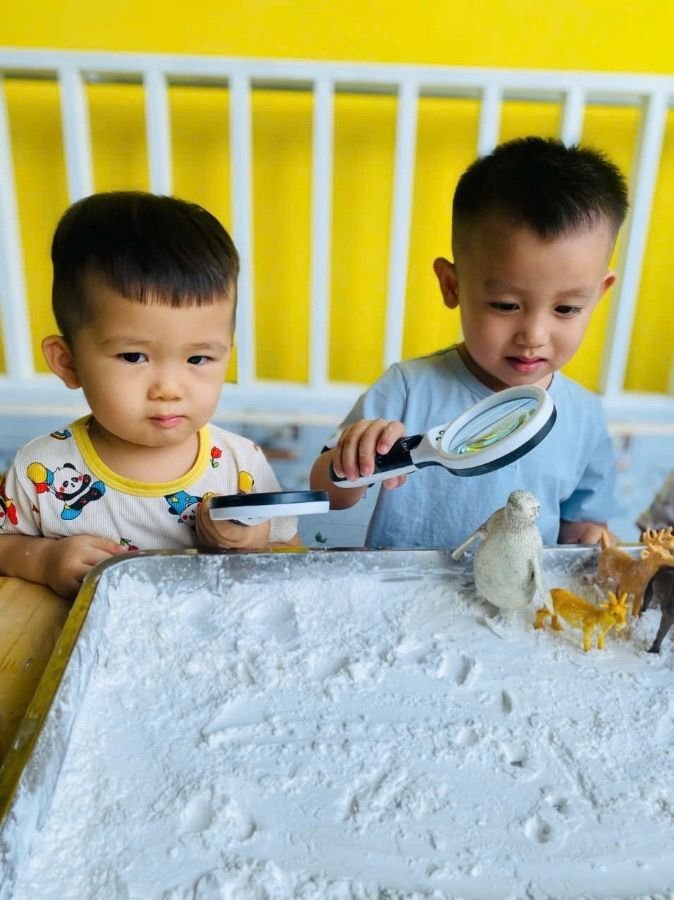 Ảnh hoạt động