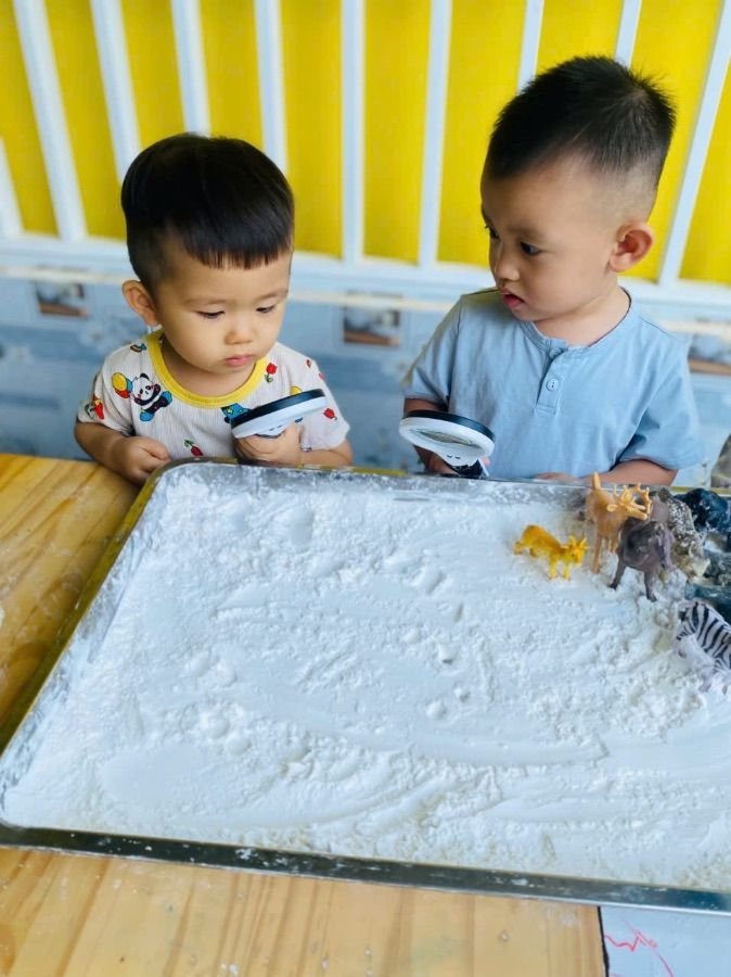 Ảnh hoạt động
