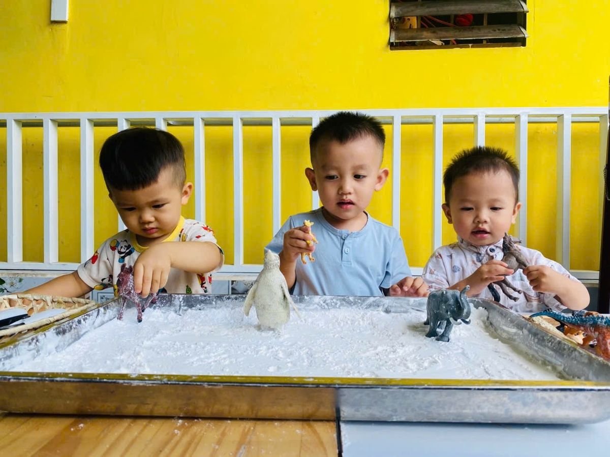 Ảnh hoạt động