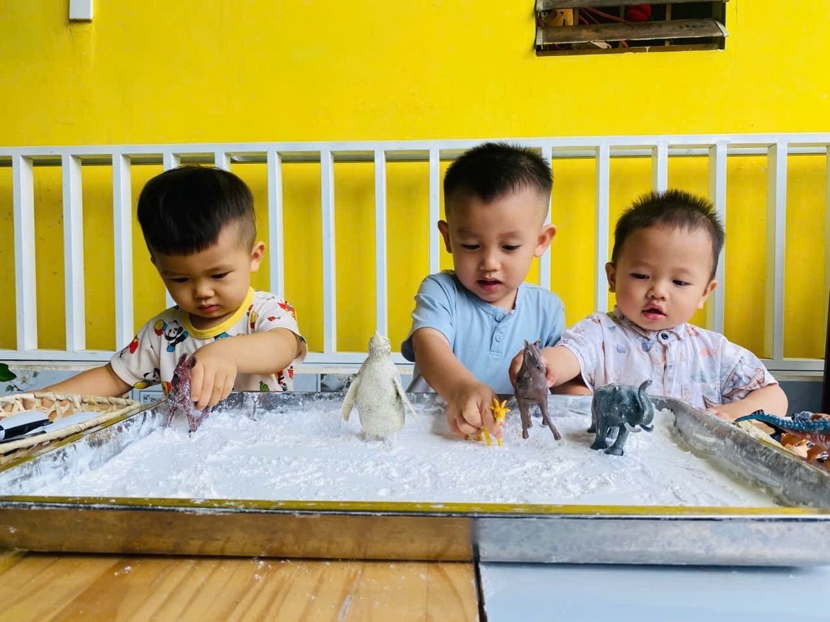 Ảnh hoạt động
