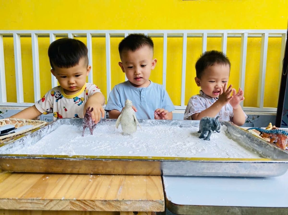 Ảnh hoạt động