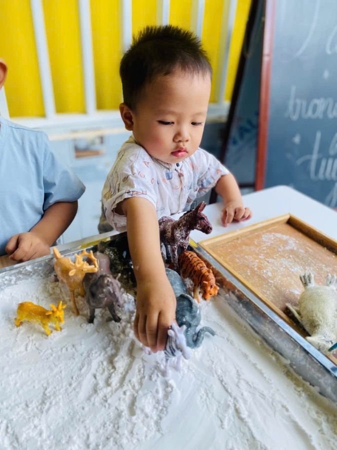 Ảnh hoạt động