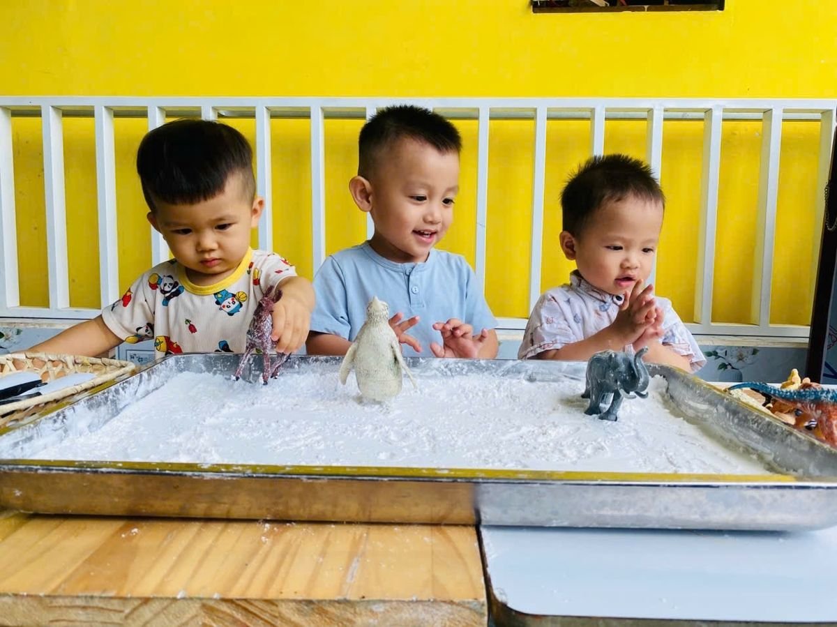 Ảnh hoạt động