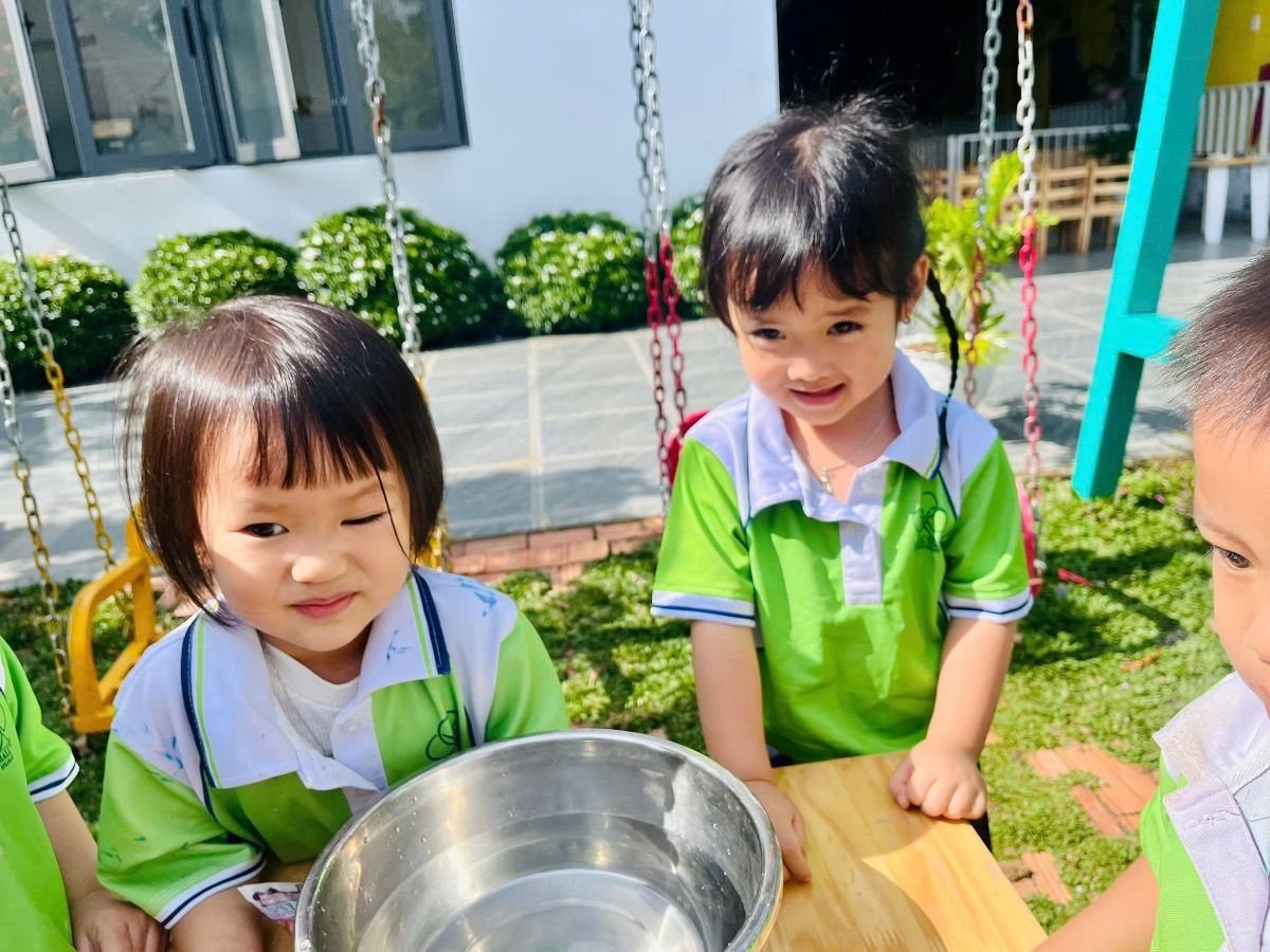 Ảnh hoạt động