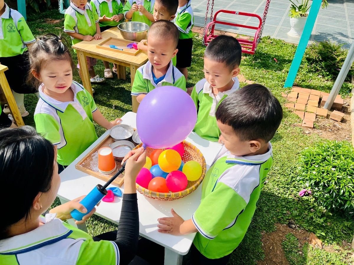 Ảnh hoạt động