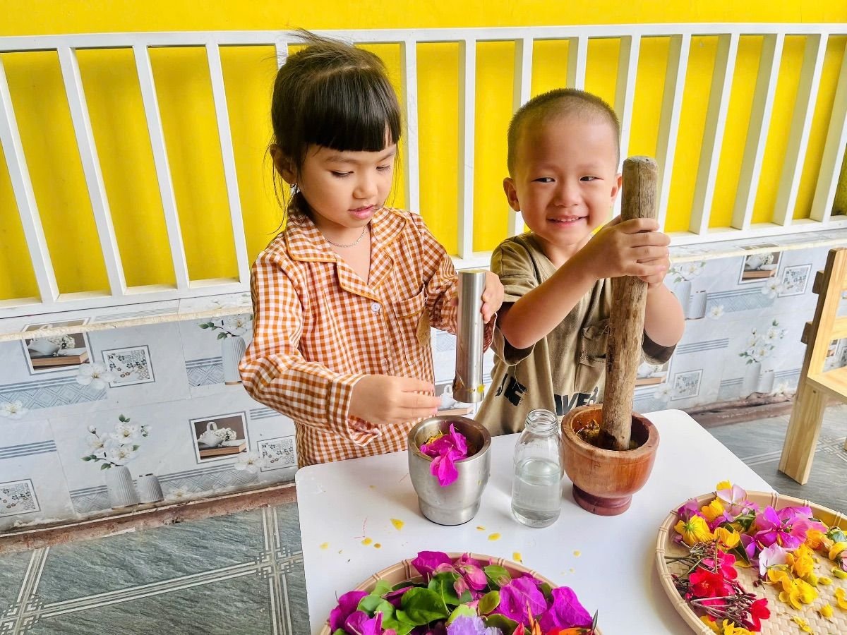 Ảnh hoạt động