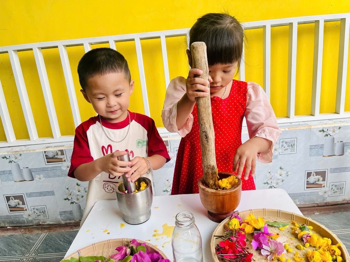 Ảnh hoạt động