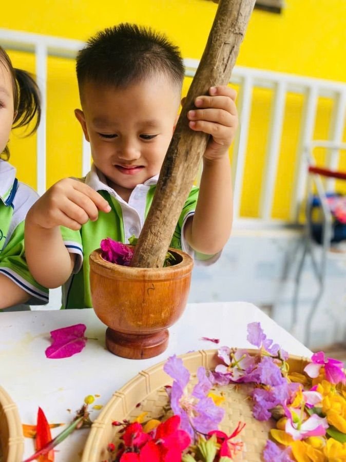 Ảnh hoạt động