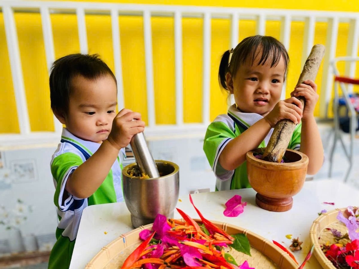 Ảnh hoạt động