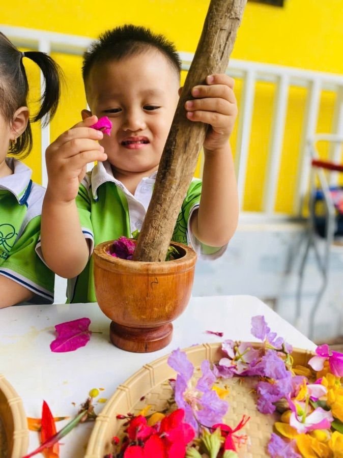 Ảnh hoạt động