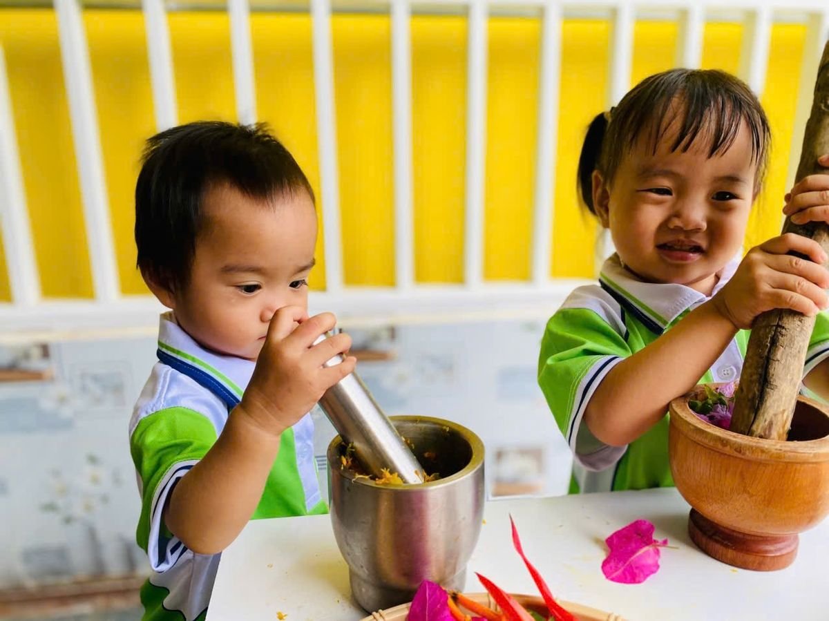 Ảnh hoạt động