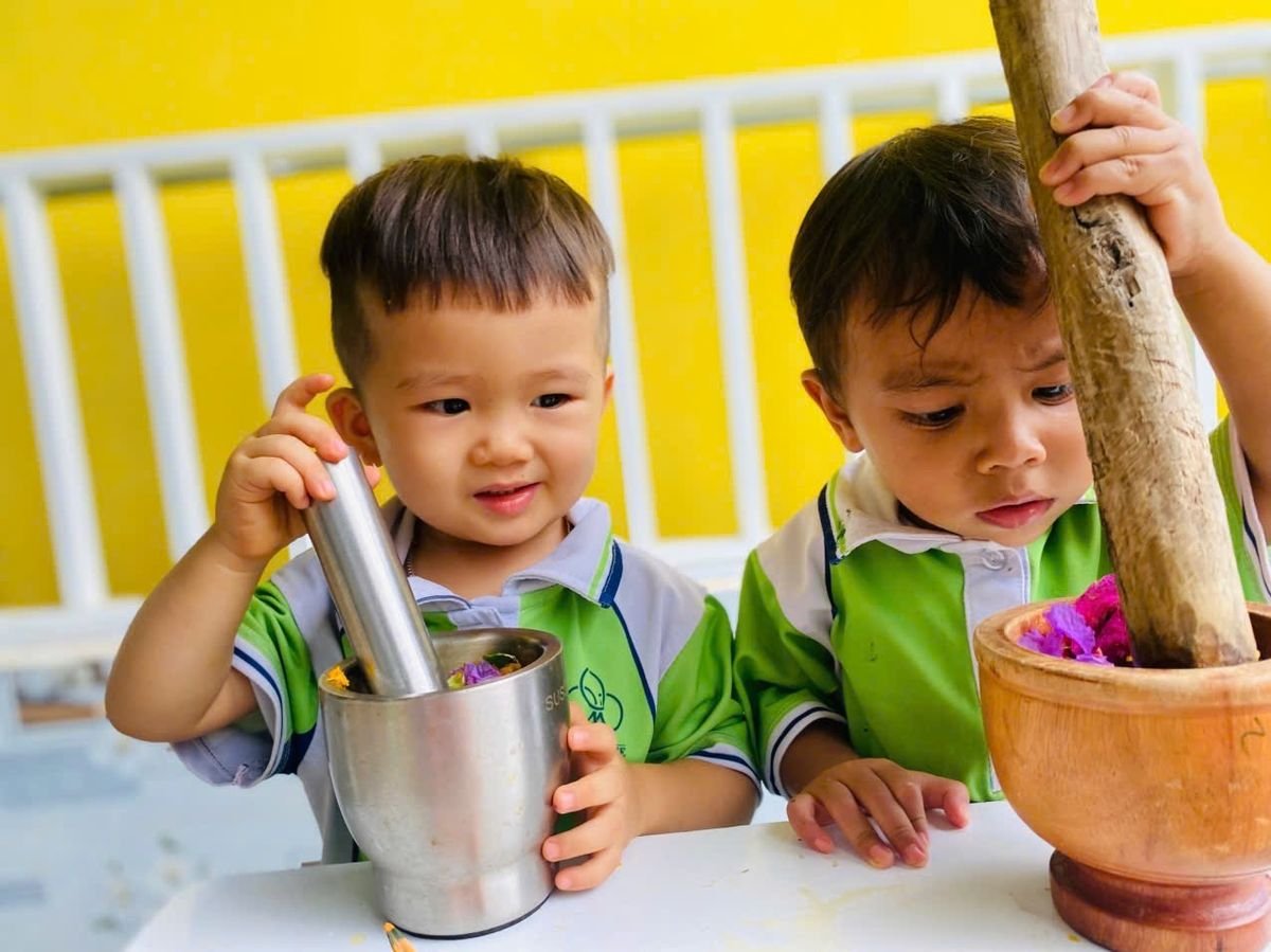 Ảnh hoạt động