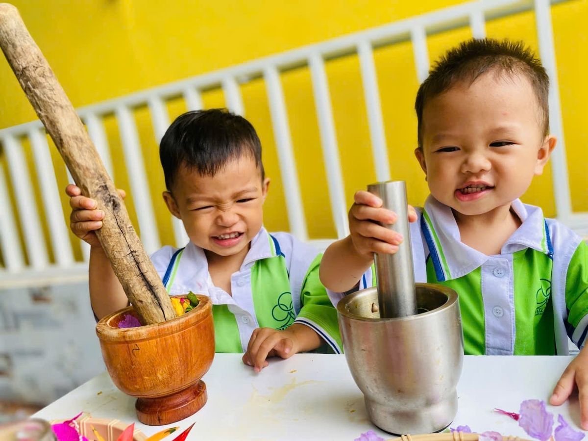 Ảnh hoạt động