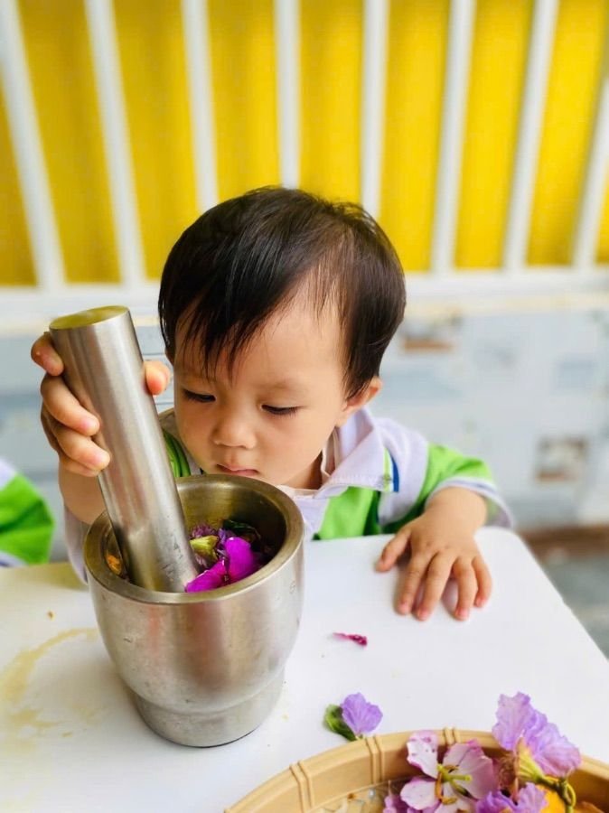 Ảnh hoạt động