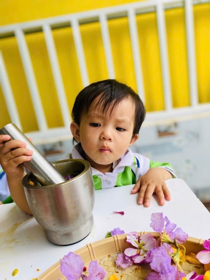 Ảnh hoạt động