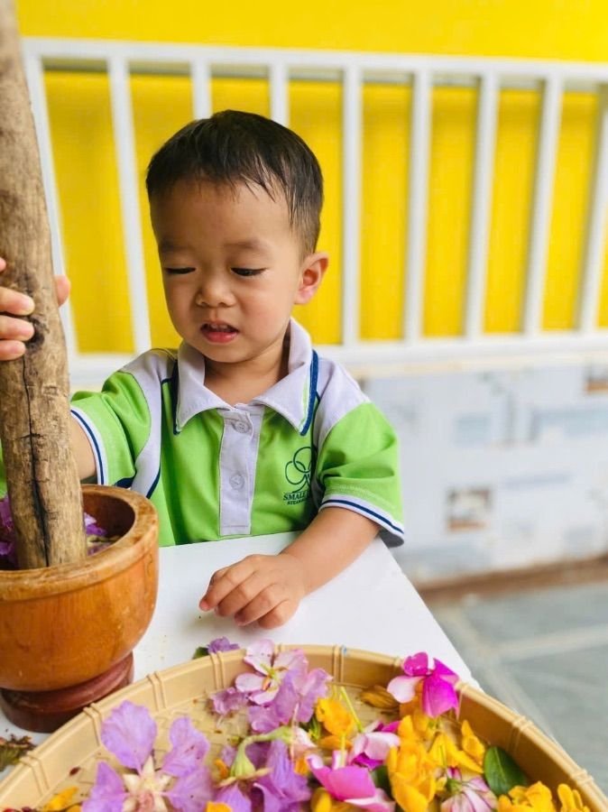 Ảnh hoạt động