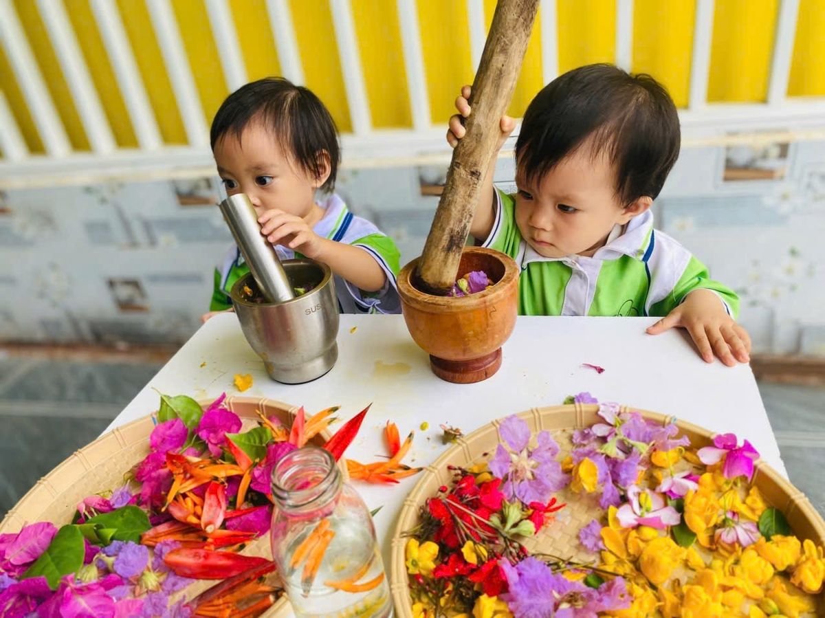 Ảnh hoạt động