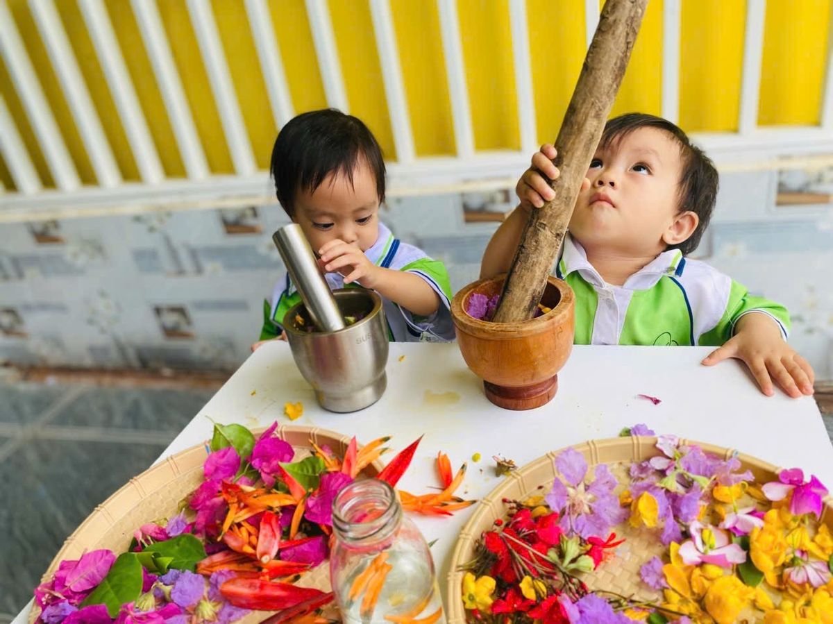 Ảnh hoạt động