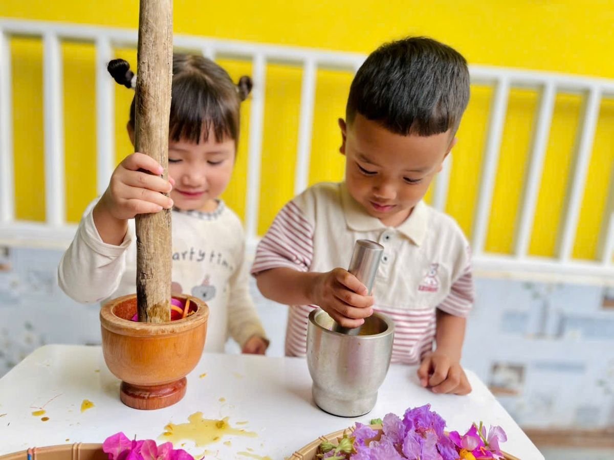 Ảnh hoạt động