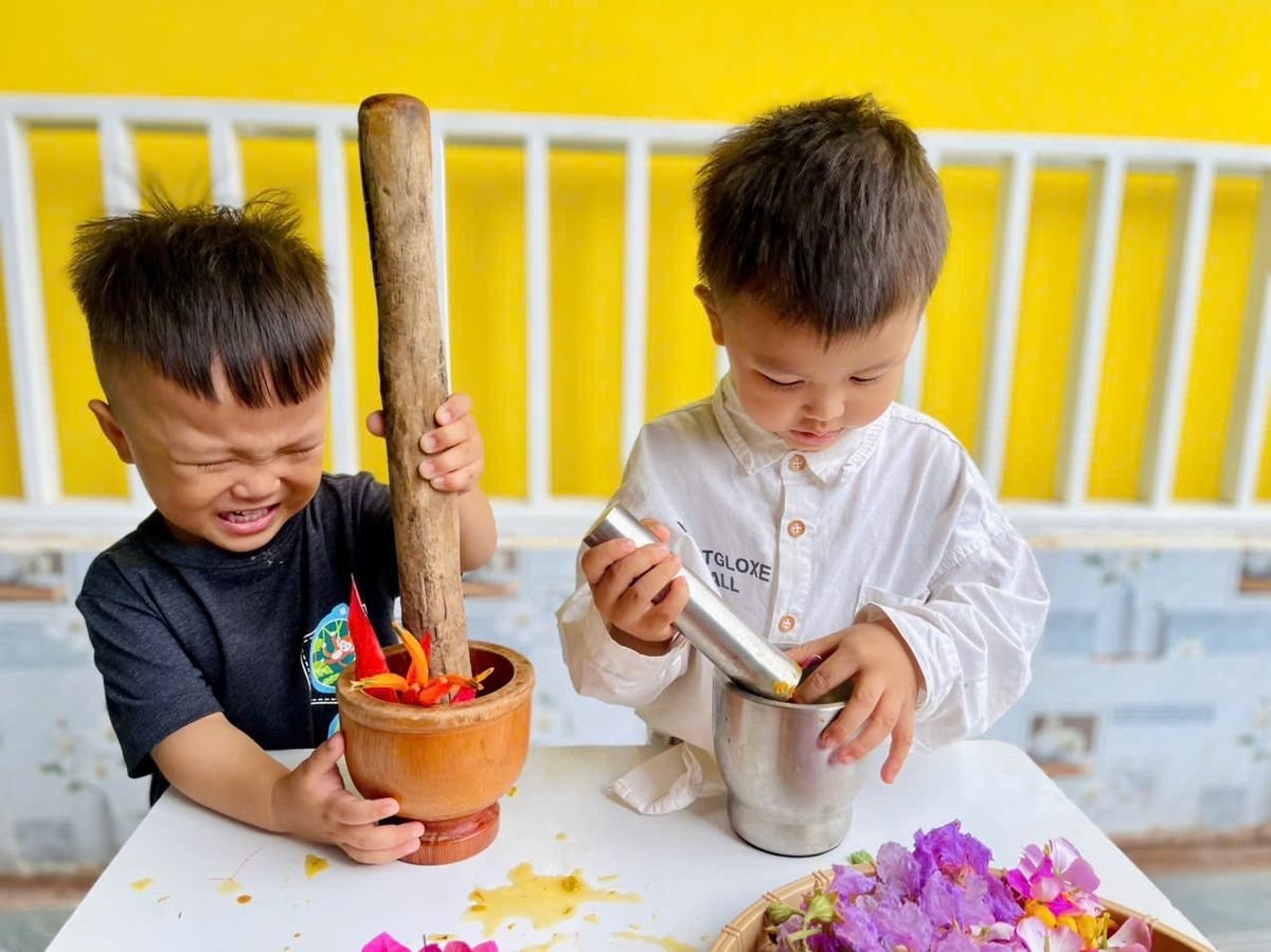 Ảnh hoạt động