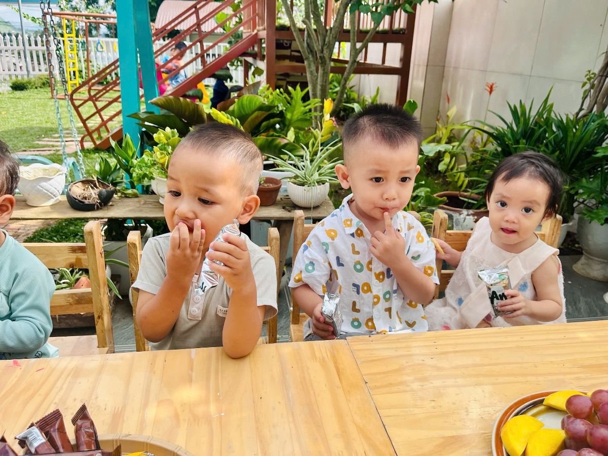 Ảnh hoạt động