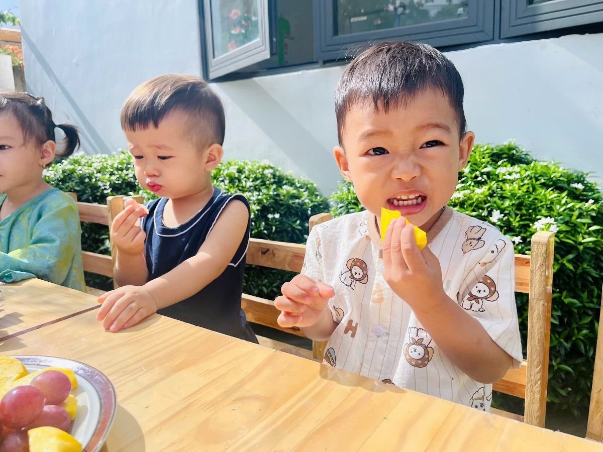 Ảnh hoạt động