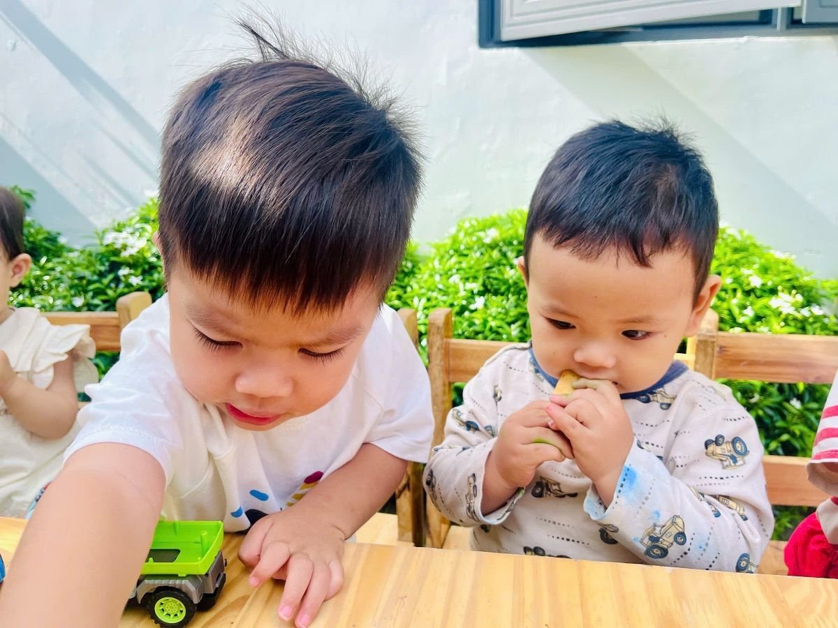 Ảnh hoạt động