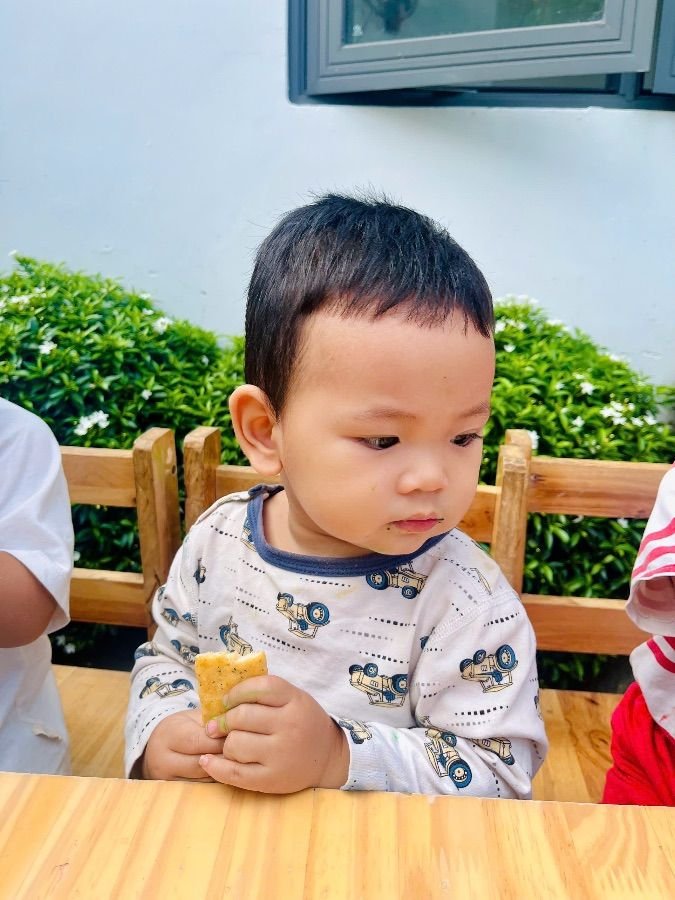 Ảnh hoạt động