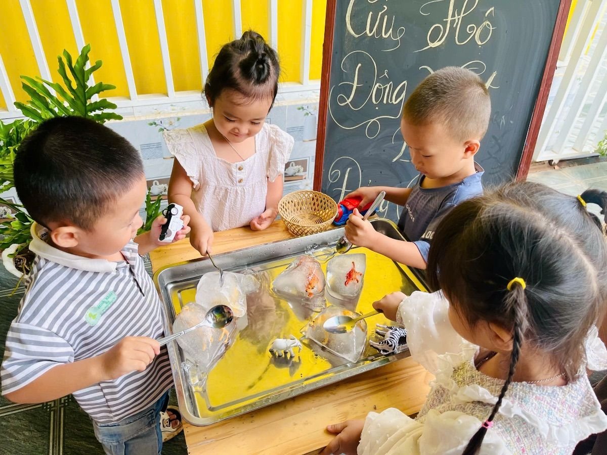 Ảnh hoạt động