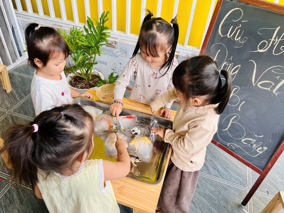 Ảnh hoạt động
