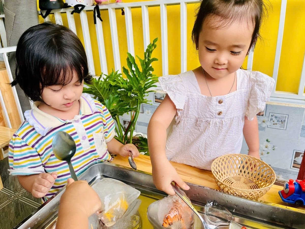 Ảnh hoạt động