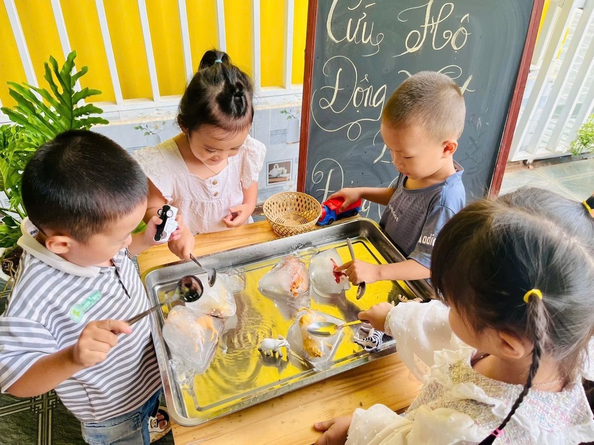 Ảnh hoạt động