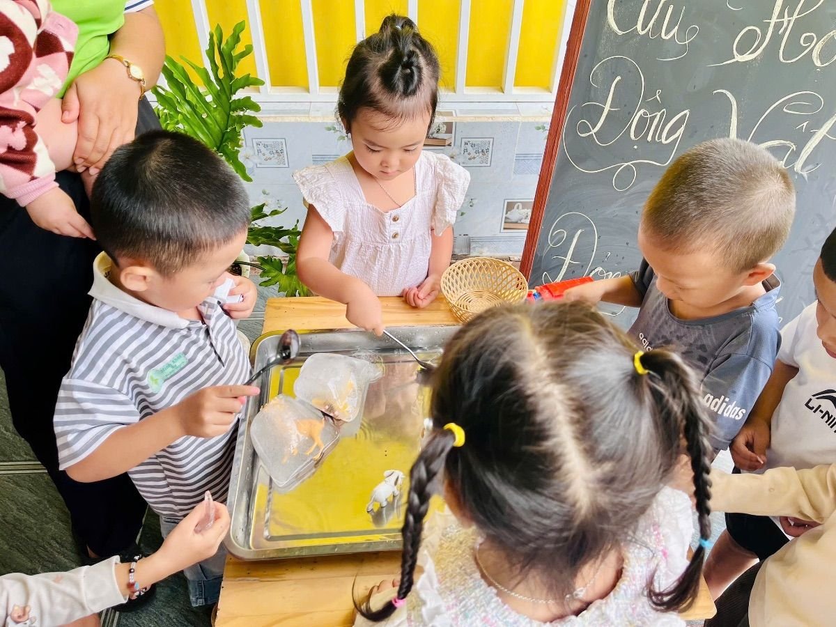 Ảnh hoạt động