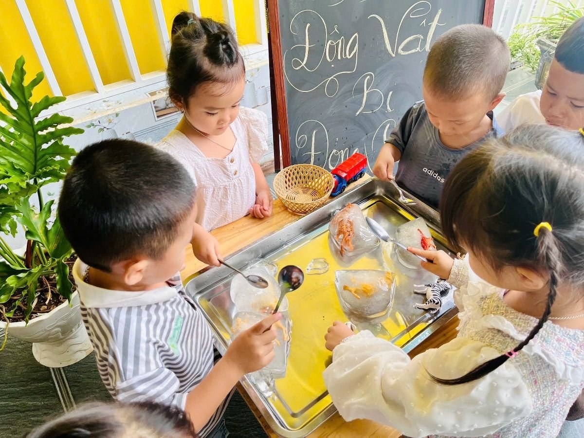 Ảnh hoạt động