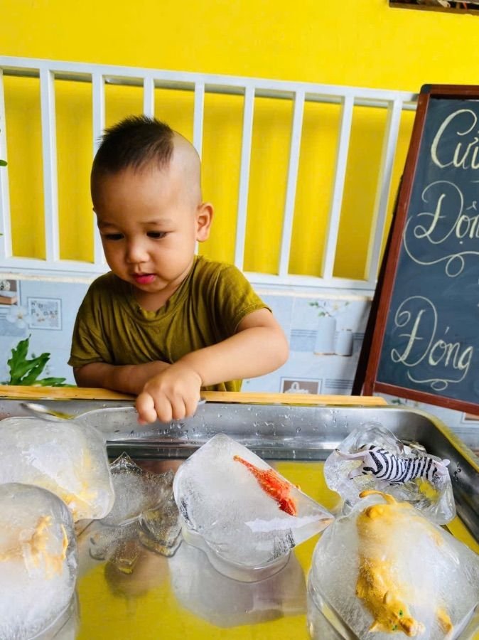 Ảnh hoạt động