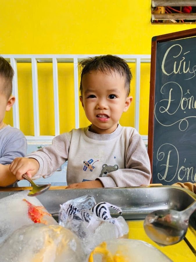 Ảnh hoạt động