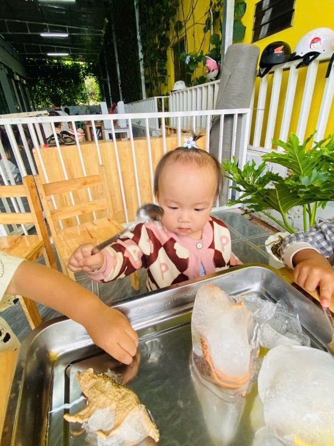 Ảnh hoạt động