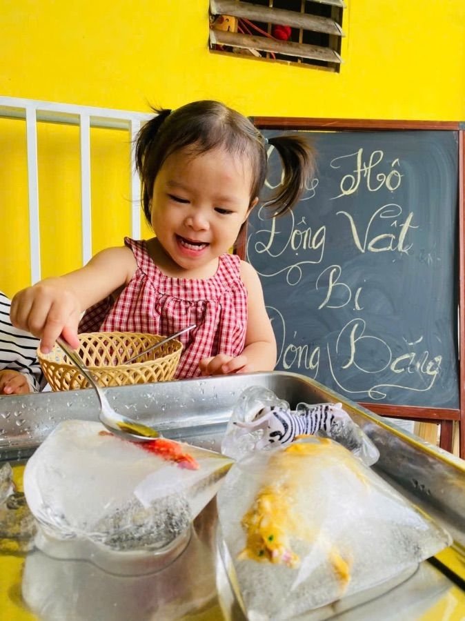 Ảnh hoạt động