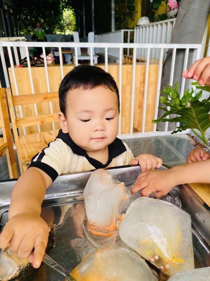 Ảnh hoạt động