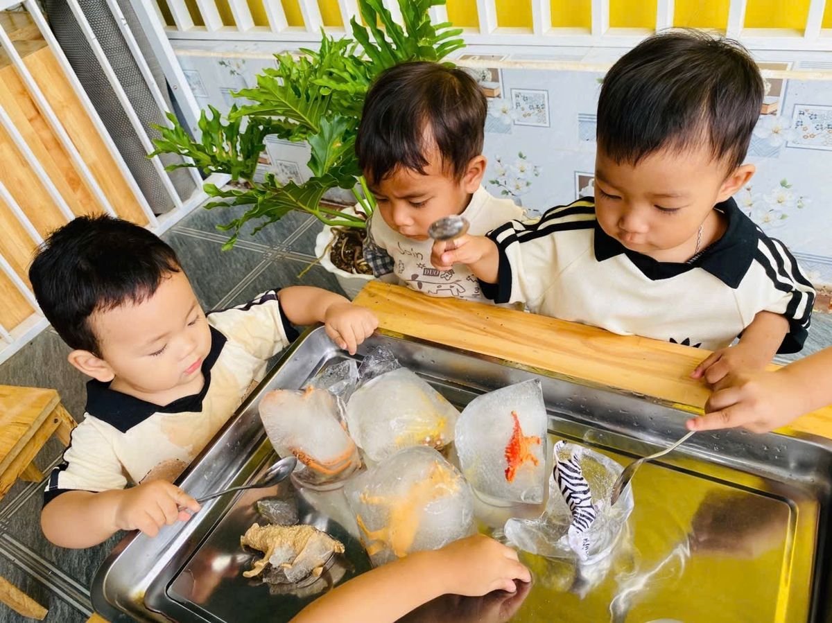 Ảnh hoạt động