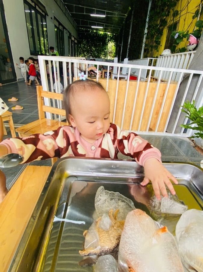 Ảnh hoạt động