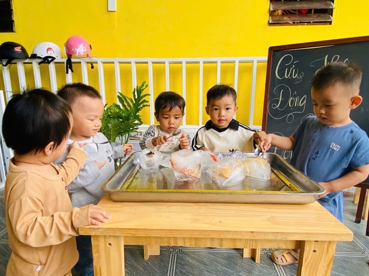 Ảnh hoạt động