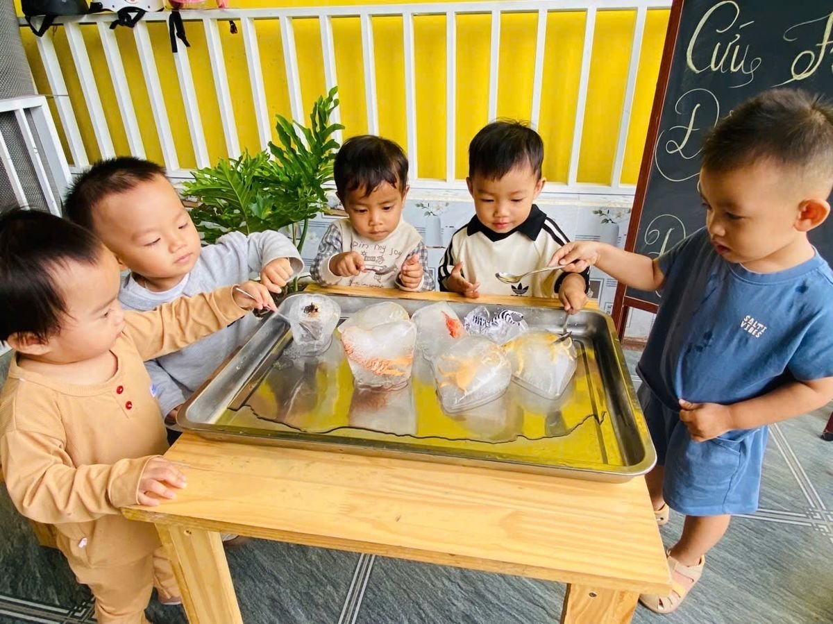 Ảnh hoạt động