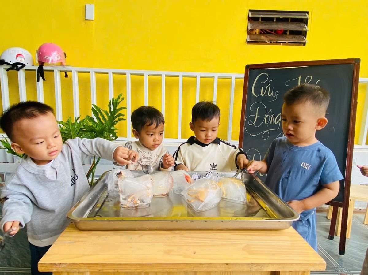 Ảnh hoạt động