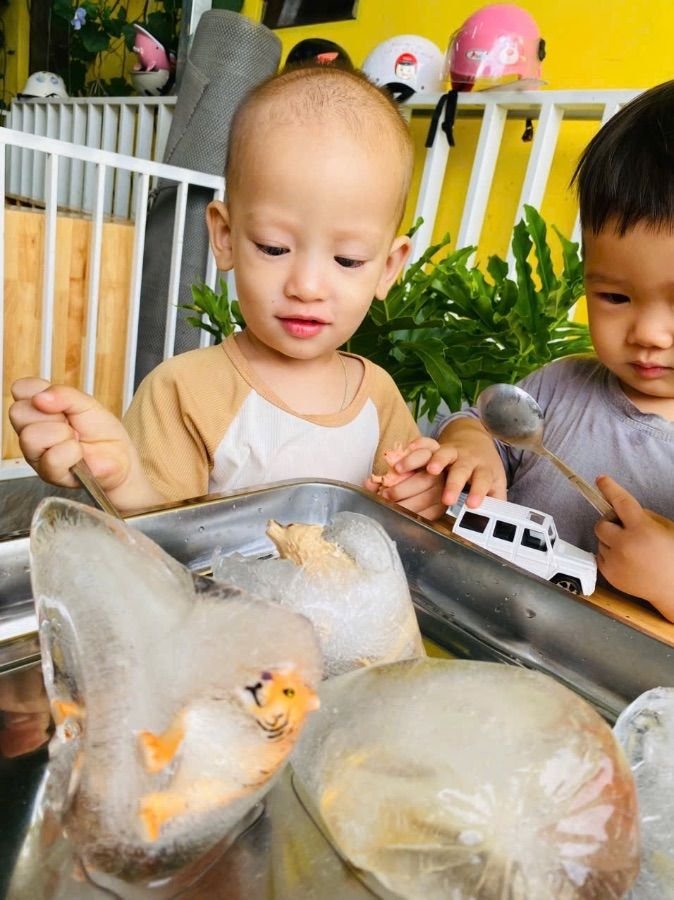 Ảnh hoạt động