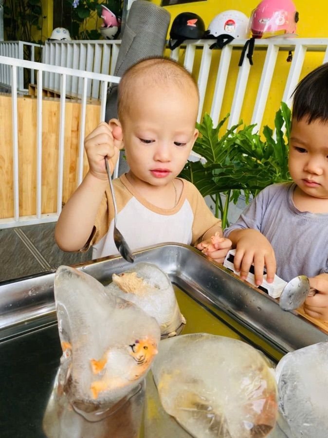 Ảnh hoạt động