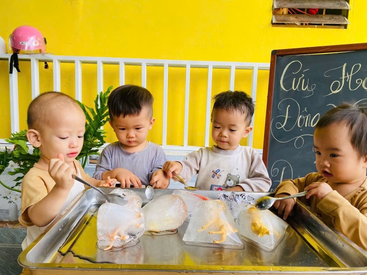 Ảnh hoạt động